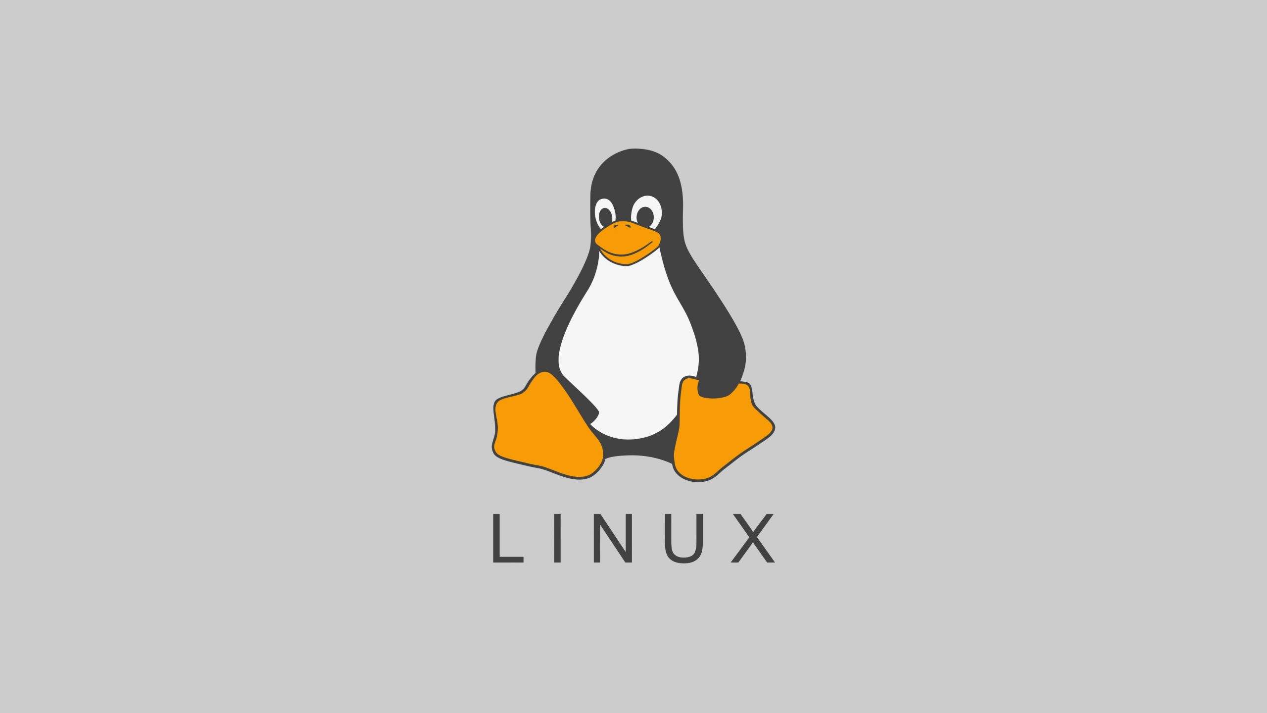 Linux四剑客与正则表达式完全指南：从基础到高级应用